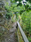 Pionierweg